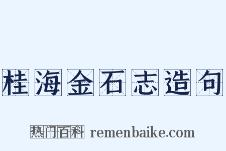 桂海金石志造句是什么意思的图片